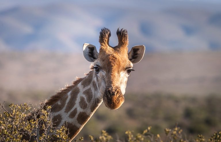 Marakele National Park