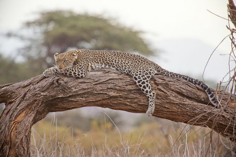 Pilansberg National Park