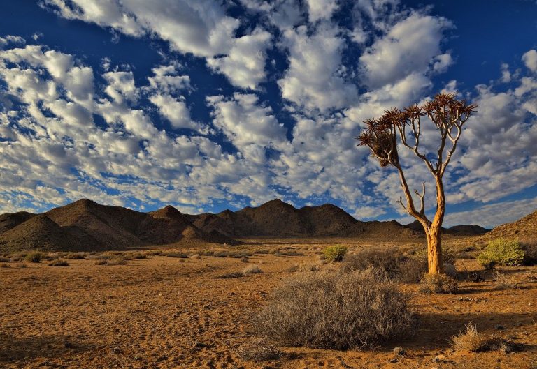 Richtersveld National Park