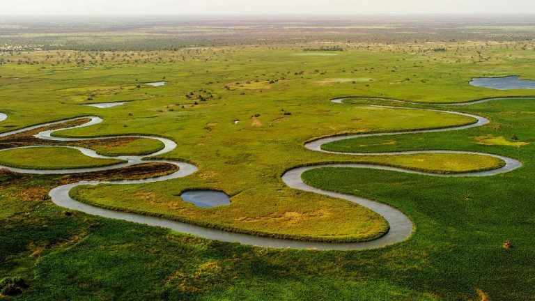 Moremi Game Reserve